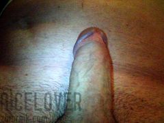 nicelover