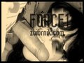 force11