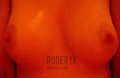 Roderyk