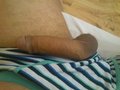 ELFER