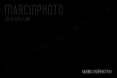marcinphoto