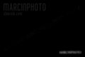 marcinphoto