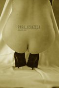 para_ksiazeca