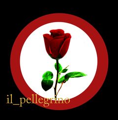 il_pellegrino