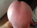piotrus252