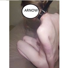 arnow_2013