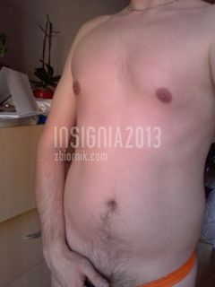 insignia2013