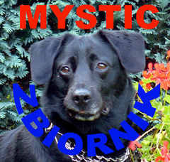 mystic