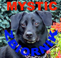 mystic
