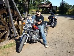 gregor555