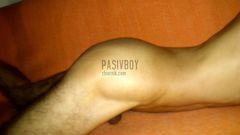 PasivBoy