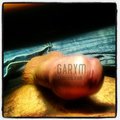 garym