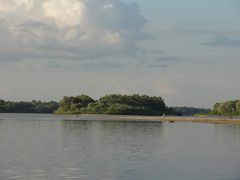 Turbacz44