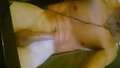 gryf91