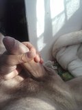 jastipe