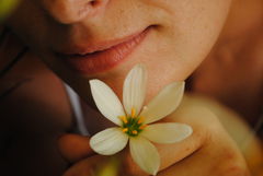 orchidea_80_72