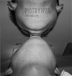 piotry1900