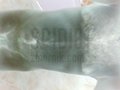 spidi81