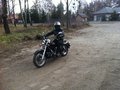 AlfaMale69