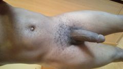 dickison