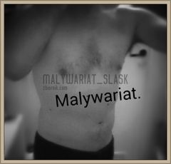 malywariat_slask