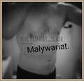 malywariat_slask