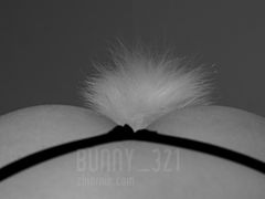 bunny_321