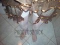 ponczosznick
