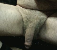 jakis_pan