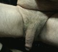 jakis_pan