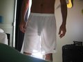 ccarloss