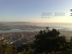 JOHNNY_BRAWO