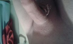 piotross