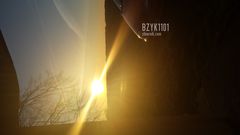 bzyk1101