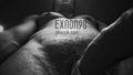 exnon90
