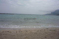 renegat240