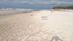 diuk11