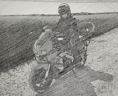 zolty1