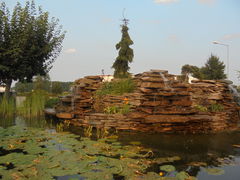 magnolia22