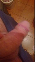 MISIEK36BB