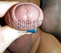 bobi497