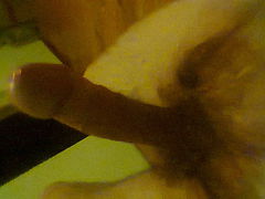 Poter1