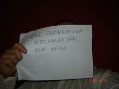 KOCHANEK377