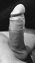 proteus_pn