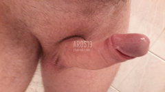 aros13