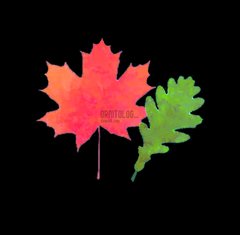 ornitolog_