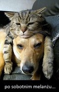 facet_bez_nicka_wybzyka_i_znika