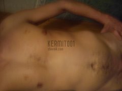 kermit001