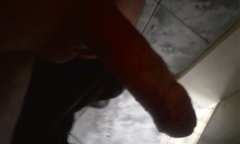 Kamilqwer