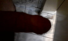 Lizak7676
